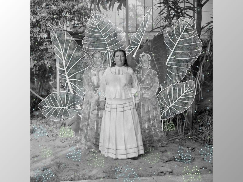 Sony Dünya Fotoğrafçılık Ödülleri 2026: Genel Kazananlar Açıklandı