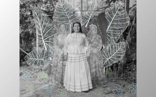 Sony Dünya Fotoğrafçılık Ödülleri 2026: Genel Kazananlar Açıklandı