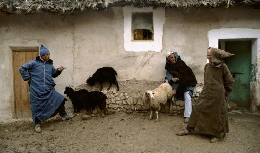 Magnum Fotoğrafçısı Bruno Barbey Leica Galeri İstanbul'da