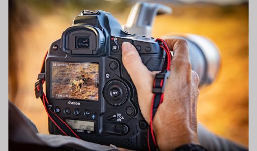 Canon Yeni Ürün Yazılımı ile Film Yapımcılarını Destekliyor