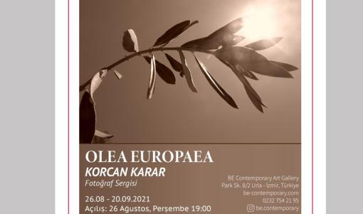 Be Contemporary Art Gallery Korcan Karar Olea Europae 26 Ağustos – 20 Eylül 2021 